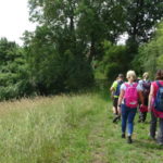 Wanderung per Fähre für Singles in Unterfranken