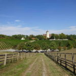 Hallburg Volkach Unterfranken Single Wandern