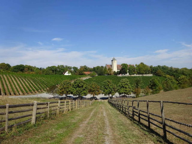 Hallburg Volkach Unterfranken Single Wandern