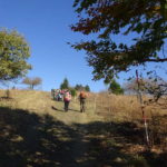 Single Wanderung Rhön Unterfranken Fladungen Rhoenbiene