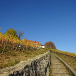 Treppen hoch zur Vogelsburg