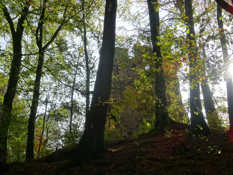 Ruine Stollburg im Wald