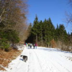 Singlewanderung rund um Ostheim