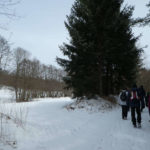 Wandergruppe im Winter