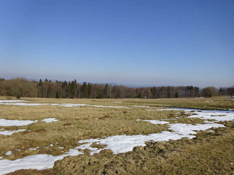 Winterlandschaft in der Rhön Bayern Unterfranken