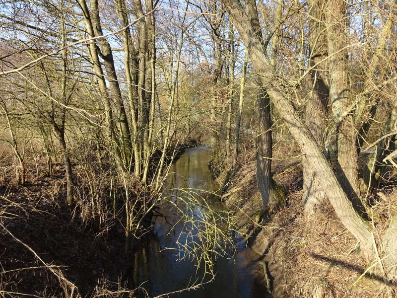 Fluss Volkach bei Schweinfurt