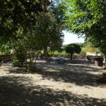 Biergarten Hallburg Unterfranken Wandern