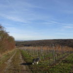 Wanderweg Gaibach Zeilitzheim