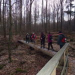 Brücke Wanderung Singles Steigerwald Baumwipfelpfad