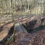 Brücke im Buchenwald Unterfranken Bayern Outdoor Singles gemeinsam