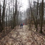 Buchenwald Single Wanderung Iphofen Birklingen