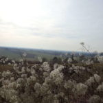 Aussicht auf Grafenrheinfeld Kernkraftwerk Wanderweg Mühlen