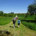 Fähre bei Fahr Kaltenhausen Singlewanderung