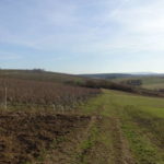 Wanderweg Heiligenberg Gaibach Volkach