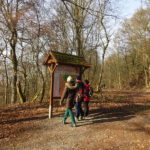 Infotafel Ruine Stollburg Steigerwald terrior f