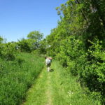 Maikäfer Singles in Franken Bayern