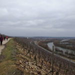 Volkacher Mainschleife Maria im Weingarten