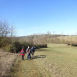 Outdoor Aktiv Singlewanderung Unterfranken Sulzfeld bei Kitzingen