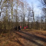 Singles wandern im Steigerwald