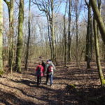 Singles auf Waldwanderwegen in Sulzfeld am Main Traumrunde