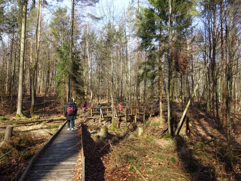 Singlewanderung im Steigerwald Handthal