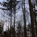 Vollmond Singlewanderung Steigerwald Ruine Stollburg Handthal