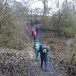 Dschungel Wanderweg Vogelsburg am Main