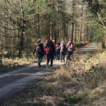 Wandergruppe Singles im Steigerwald Zentrum Handthal Ebrach