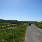 Weinberge Volkach Wanderung