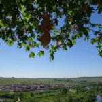 Weininsel Nordheim in Franken