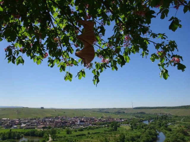 Weininsel Nordheim in Franken