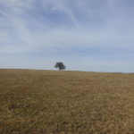 Höhenweg mit Aussicht Singlewanderung Outdoor Aktivität Schweinfurt