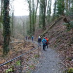 Annaschlucht Würzburg Singlewanderung März Bayern