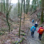 Wanderung Annaschlucht Würzburg Steinbachtal Singlewanderung