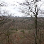 Ausssicht Gangolfsberg Rhön Unterfranken Oberelsbach Single