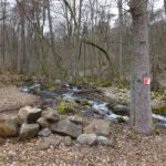 Elsbach Oberelsbach Rhöniversum Biosphärenreservat Singlewanderung Unterfranken Bayern