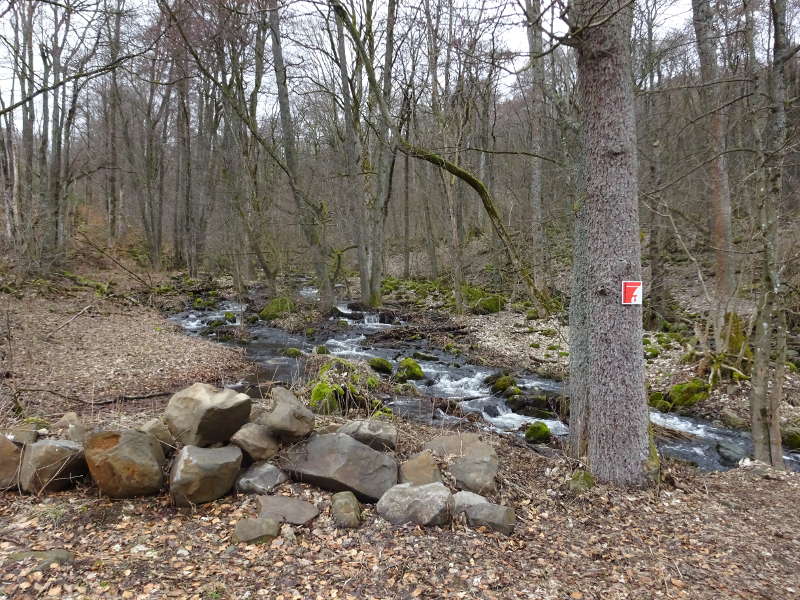 Elsbach Oberelsbach Rhöniversum Biosphärenreservat Singlewanderung Unterfranken Bayern
