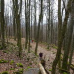 Wanderweg zur Prismenwand am Gangolfsberg in der bayerischen Rhön Singlewandern Outdoor