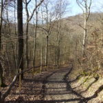 Bergab im Wald nach Iphofen im Mittelwald Steigerwald Singlewanderung Outdoor Bayern