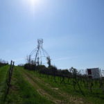 Bocksbeutel am Stammheimer Eselsberg am Weinhang am Main auf Singlewanderung Outdoor Aktivität