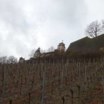 Weinlage Osthang Festung Marienberg Würzburg Single Wandern gemeinsam