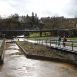 Landesgartenschau Würzburg unterhalb Festung Marienberg Würzburg Wandern Single Alleinstehend alleine Bayern Unterfranken