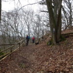 Wanderung Linde Gangolfsberg Oberelsbach Umwelt Naturschutz Singles Wandern Bayern Unterfranken Biosphärenreservat Kernzone