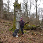 totholz Buche Kernzone Gangolfsberg Thüringer Hütte Sonja Heinemann Hund Merle Wanderführer Naturschutz Umweltbildung