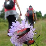 Singles gemeinsam Wanderung Rhön