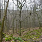 Wanderweg Bayern Unterfranken Rhön Gangolfsberg Schweinfurter Haus