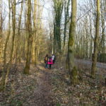 Wandergruppe wandern in Schweinfurt im Höllental Dianenslust Forsthaus Bayerische Staatsforsten Natura 2000 Singles unterwegs Wanderschuhe Wanderstock