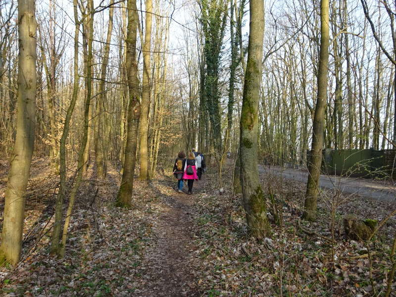 Wandergruppe wandern in Schweinfurt im Höllental Dianenslust Forsthaus Bayerische Staatsforsten Natura 2000 Singles unterwegs Wanderschuhe Wanderstock