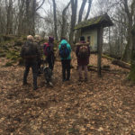 Single Wandergruppe am Gangolfsberg Prismenwand Basalt Rhön Unterfranken