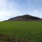 Weinberge in Iphofen auf Wanderung für Singles